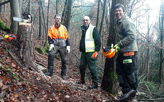 Freistellaktion am Pferchfeldfelsen
